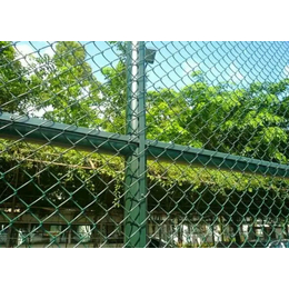 安装铁链式笼足球场围网的报价体育场勾花护栏网规格 球场围网