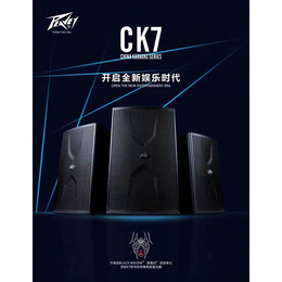 KTV音响设备,【声桥商贸】,漯河KTV音响设备报价表