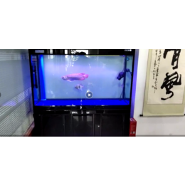 济南高新区齐鲁软件园鱼缸换水缩略图