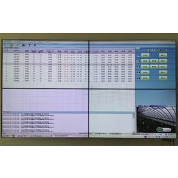物联网农业大棚建设,物联网农业大棚,兵峰、智能花卉温室