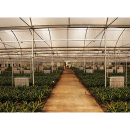 合肥建野温室大棚-阳光板温室大棚每平米造价-合肥阳光板温室