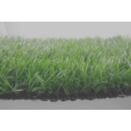 台州人造草坪-武汉赛龙体育设施公司-人造草坪公司