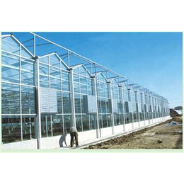 辽宁玻璃温室,玻璃温室工程,鑫和温室园艺(推荐商家)