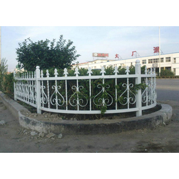 安平县领辰(图)|绿化带围栏*|甘孜绿化带围栏