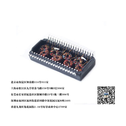 上海网络变压器-【瑞纵科技】-千兆网络变压器生产厂家