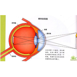 视力矫正器 护眼仪|新疆视力矫正|健瞳公司