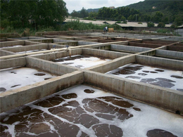 污水处理设备-贵州竞渡环*猪场污水处理设备