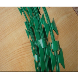 浸塑包塑刀片刺绳防护网生产厂家-镀锌刀片刺绳护栏网大量供货