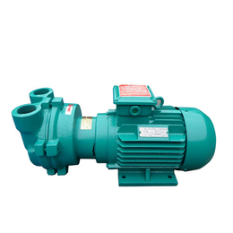 明昌水环抽气泵(图)|抽气泵纯铜线电机|呼伦贝尔抽气泵
