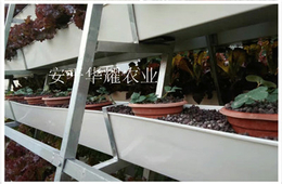 瓜果蔬菜栽培槽草莓立体种植槽规格龙岩可量身定制