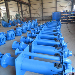上海立式渣浆泵-立式渣浆泵加长20米-沐阳泵业(****商家)