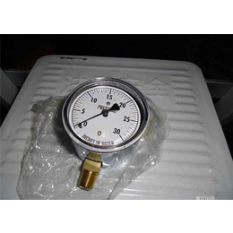 安徽汉益(图)、充油压力表生产销售、哈尔滨充油压力表