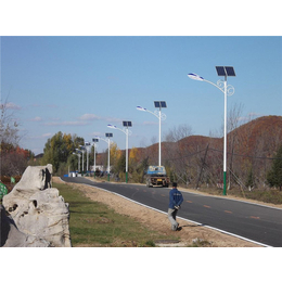 4米高太阳能路灯|东龙公司(在线咨询)|太原太阳能路灯