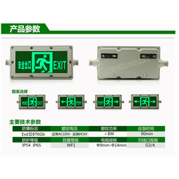 消防应急灯具事故照明灯多少钱