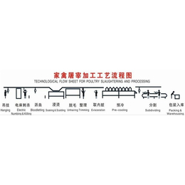 诸城朝阳机械(图)_宰鸡线****生产厂家_山西宰鸡线