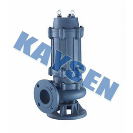 进口排污泵特点-德国KAYSEN品牌