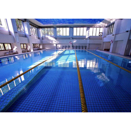 西安泳池造价、铭泉环保(在线咨询)、西安泳池