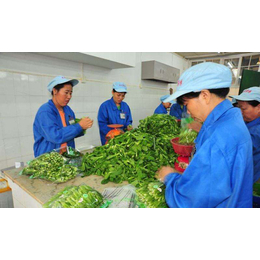 学校食堂承包_华溢饮食(在线咨询)_食堂承包