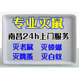 南昌****灭鼠公司 南昌杀虫灭老鼠 南昌灭四害公司 南昌除白蚁缩略图