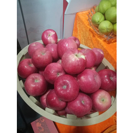 洛川苹果|景盛果业|陕西洛川苹果