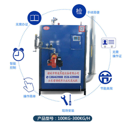 香港服装厂用蒸汽发生器-台锅热能-服装厂用蒸汽发生器报价