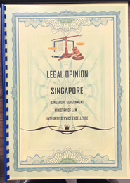 新加坡公司*发币出具法律意见书的意义