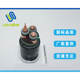 晋中神龙电缆公司(图)-太原高压电缆厂-高压电缆
