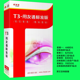 用友T3标准版总账报表  采购仓库业务 包邮远程装