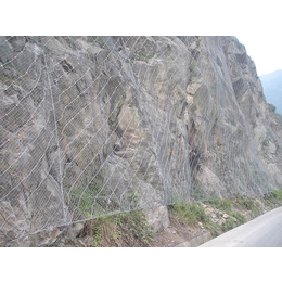 边坡防护网(多图)|山体护壁网报价|山体护壁网