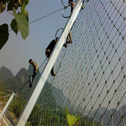边坡防护网(多图)|护坡网制造工厂|护坡网
