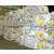 合肥强运废塑料回收(图)_附近废塑料回收_合肥废塑料回收缩略图1