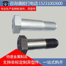 广州铰制孔螺栓,特速金属制品螺栓大全,铰制孔螺栓定做