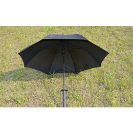 丽虹科技(图)-云南雨伞哪家便宜-云南雨伞