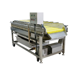 丰创食品机械(图)-蔬菜清洗*烫冷却设备用途-武汉清洗机