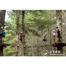 历奇探险-树上探险乐园-冒险树丛林穿越缩略图