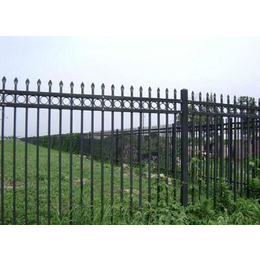 临朐远晟金属(图)、pvc草坪护栏、德阳草坪护栏