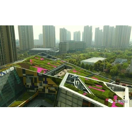 郑州盛鼎业生态多孔纤维棉为基质的屋顶绿化
