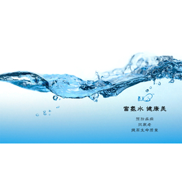 富氢水机加盟前景|广东富氢水机|广州中氢(查看)