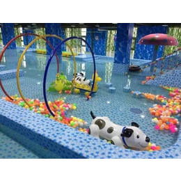 河北石家庄儿童游泳池亚克力泳池设备儿童水上乐园缩略图