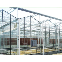 玻璃温室厂家、山西玻璃温室、鑫和温室园艺