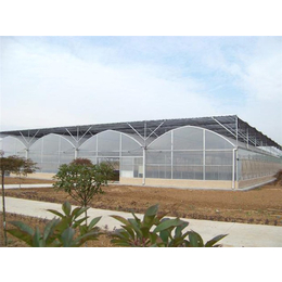 文洛型连栋玻璃温室大棚-玻璃连栋-青州瀚洋农业(查看)