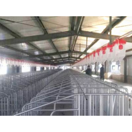 永宁县养猪设备,双联机械,自动化养猪设备销售