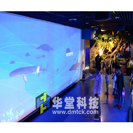 墙面互动投影系统制作、墙面互动投影、北京华堂立业