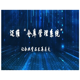 广州迈维条码(图)-WMS仓库管理软件-惠州仓库管理软件