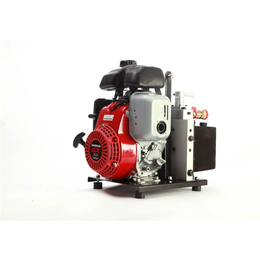 液压机动泵、雷沃科技(在线咨询)、双输出液压机动泵