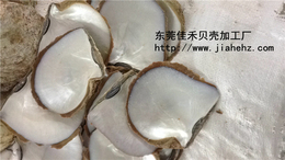 桐城贝壳-贝壳-佳禾贝壳表面