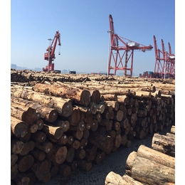建筑木材市场-建筑木材-海南嘉航木业销售