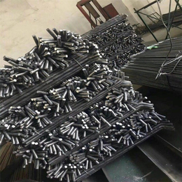 m20 1000地脚螺栓厂家,杭州地脚螺栓,恩腾紧固件