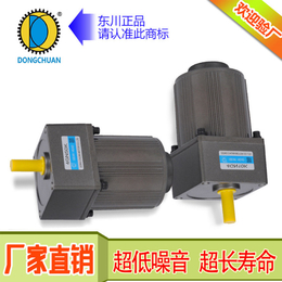 东川电机品牌厂家*(图)|微型直流减速电机|丽水减速电机