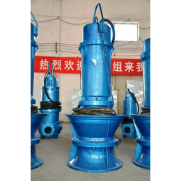 微型潜水泵、河北冀泵源(在线咨询)、滨州潜水泵